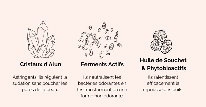 Actifs gages d'efficacité 2 en 1